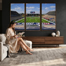 Rice University Owls Football Team Print - Houston Rice