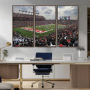 Rutgers Scarlet Knights Football Team Print - SHI Stadium,