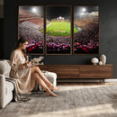 University of Maryland Terrapins Football Team Print -