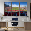 Ball State Cardinals Football Team Print - Muncie Scheumann