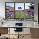 TCU Horned Frogs Football Team Print - Fort Worth Amon G.