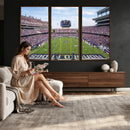 TCU Horned Frogs Football Team Print - Fort Worth Amon G.