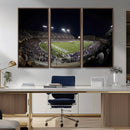 TCU Horned Frogs Football Team Print - Fort Worth Amon G.