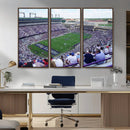 The Texas Christian University TCU Horned Frogs Football