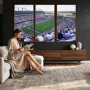 The Texas Christian University TCU Horned Frogs Football