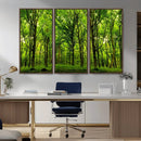 Lush Green Forest Canvas Print | 3-Panel Forest Wall Art |
