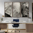 Elephant Wall Art Canvas Print