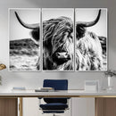 Black and White Scottish Cow Canvas Wall Art Highland Cattle