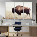 Bison in Field Wall Art Canvas Print For Farmhouse Barn