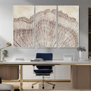 Tree Ring Wall Art Triptych, Rustic Wood Ring Canvas Print,