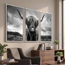Scottish Cow Wall Art Canvas Print | Longhorn Wall Art |