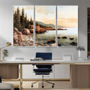 Serene Coastal View of Acadia National Park Wall Art -