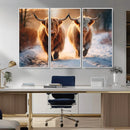 Scottish Highland Cow Horn Farm Wall Art Canvas Print