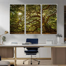 Ancient Angel Oak Tree Art Sunburst Canvas Print-