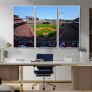 Cincinnati Reds Baseball Canvas Print - American Ball