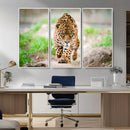 Leopard on the Prowl - Stunning Large Framed Leopard Wall