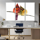 Cardinal Bird Canvas Wall Art - Male and Female Cardinal