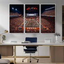 Texas Stadium Night Game Wall Art Canvas Print – Vibrant