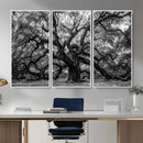 Black and White Old Angel Oak Tree Wall Art Canvas Print by MyGreatCanvas | Canvas Wall Art Prints | Photo Prints & Wall Decor