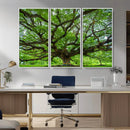 Oak Tree Wall Art Print, Forest Canvas Wall Art for Home and by MyGreatCanvas | Canvas Wall Art Prints | Photo Prints & Wall Decor
