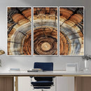 Tree Rings Wall Art Canvas Print – Rustic Wood Texture