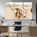 Texas Longhorn Wall Art Canvas Print – Framed Spotted Cow