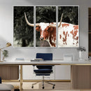 Texas Longhorn Wall Art Canvas Print – Framed Spotted Bull