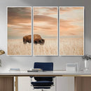 MyCanvas -