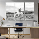 White Horse Wall Art Canvas Print – Framed Woman Rider