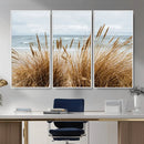 Beach Grass Wall Art Canvas Print – Framed Coastal Dunes Art by MyGreatCanvas | Canvas Wall Art Prints | Photo Prints & Wall Decor