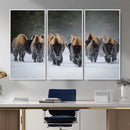 Bison Herd Wall Art Canvas Print, Framed Rustic Wildlife by MyGreatCanvas | Canvas Wall Art Prints | Photo Prints & Wall Decor