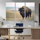 Bison Wall Art Canvas Print – Framed Buffalo American Bison
