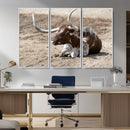 Texas Longhorn Wall Art Canvas Print – Framed Country Living