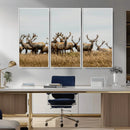 Elk Herd Wall Art Canvas Print – Framed Wildlife Photography