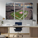Chicago Bears Soldiers Field Wall Art Canvas Print – Framed