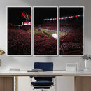 William Brice Stadium Wall Art Print – Baseball Game Room by MyGreatCanvas | Canvas Wall Art Prints | Photo Prints & Wall Decor