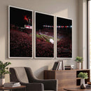 William Brice Stadium Wall Art Print – Baseball Game Room