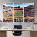 Tennessee Neyland Stadium Wall Art, Sports Arena Canvas by MyGreatCanvas | Canvas Wall Art Prints | Photo Prints & Wall Decor