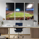 Dooley Stadium Wall Art, Sports Arena Panoramic Canvas by MyGreatCanvas | Canvas Wall Art Prints | Photo Prints & Wall Decor