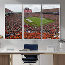Jordan-Hare Stadium Wall Art Canvas Print, College Sports by MyGreatCanvas | Canvas Wall Art Prints | Photo Prints & Wall Decor
