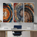 Tree Ring Triptych Canvas Wall Art — Set of 3 Wood Grain by MyGreatCanvas | Canvas Wall Art Prints | Photo Prints & Wall Decor