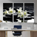 Plumeria Frangipani Black Stone Canvas | White Flower Spa by MyGreatCanvas | Canvas Wall Art Prints | Photo Prints & Wall Decor