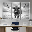 Texas Longhorn Canvas Wall Art Western Bull Desert Moody by MyGreatCanvas | Canvas Wall Art Prints | Photo Prints & Wall Decor