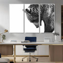 Black and White Grizzly 399 Bear Canvas Print Wall Art | by MyGreatCanvas | Canvas Wall Art Prints | Photo Prints & Wall Decor