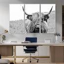 Newfoundland Cow Art Wall Art, Black White Cow Art Wall Art