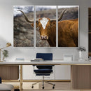 Framed Big Cow Animal Wall Art Canvas Print by MyGreatCanvas | Canvas Wall Art Prints | Photo Prints & Wall Decor