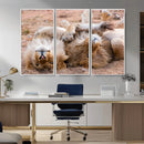 Lion Pair Wall Art Canvas Print – Framed Wildlife Scene with