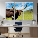 Longhorn and Cow Wall Art, Country Cow Wall Decor Canvas by MyGreatCanvas | Canvas Wall Art Prints | Photo Prints & Wall Decor