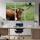 Longhorn Steer Canvas Wall Art – Rustic Nature Triptych