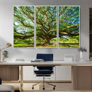 Majestic Oak Tree Wall Art – Serene Nature Canvas Print with